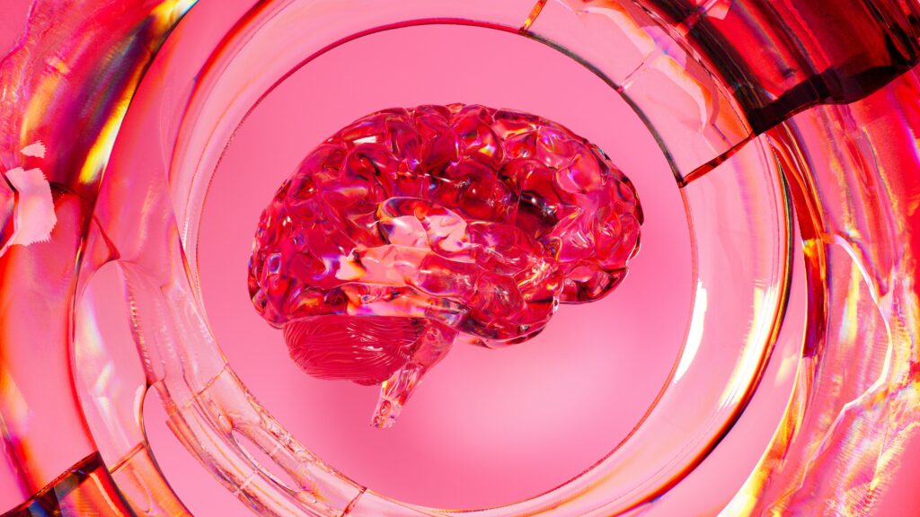 brain