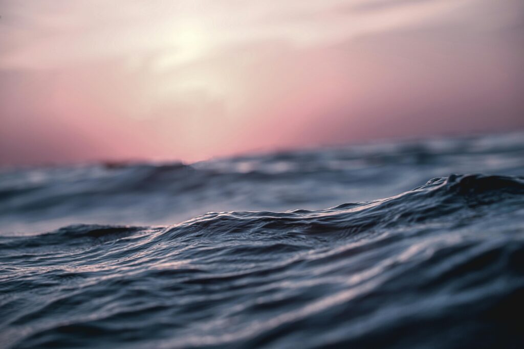 waves in the ocean