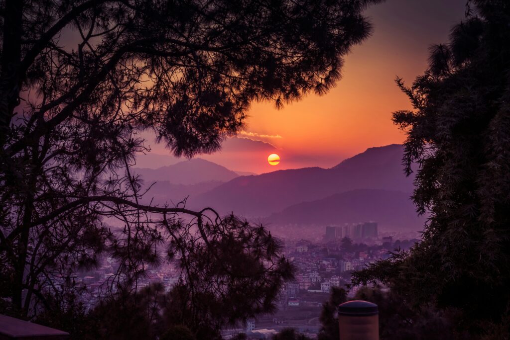 sunset through the trees