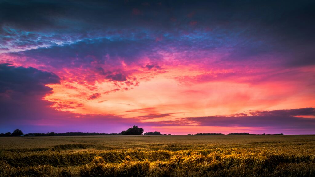 beautiful sky over a field of green